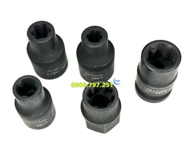 Bộ tuýp 5 cạnh và các đầu tuýp đặc biệt 12 chi tiết