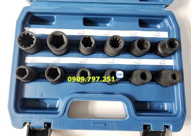 Bộ tuýp 5 cạnh và các đầu tuýp đặc biệt 12 chi tiết